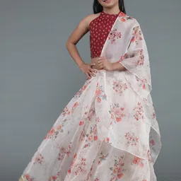 Aks Kids Girls Ethnic Motifs Printed Ready to Wear Organza Lehenga & Blouse With Dupatta-picture-33
