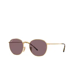 Ray-Ban Unisex Round Sunglasses with Polarised and UV Protected Lens image 1