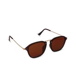 SUNNIES Unisex Brown Lens & Brown Square Sunglasses with Polarised Lens SUNNIES-062-1858-16