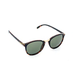 Steve Madden Men Other Sunglasses with UV Protected Lens 16426945863-65