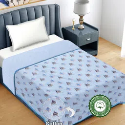 FABINALIV Blue & Pink Ethnic Motifs AC Room 300 GSM Single Bed Dohar-image-54