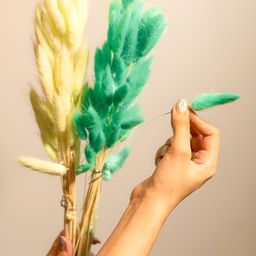 Artecasa Naturally Dried Dark Mint Green Bunny Tails-image-25