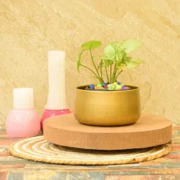 sone key chidiya Tanner Iron Gold Desk Pot-picture-22