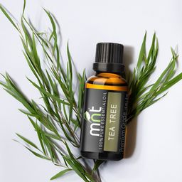 MNT Yellow Tea Tree Essential Oil-image-25