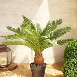Pure Home and Living Green & Blue Textured Artificial Cycas Plant with Pot-19
