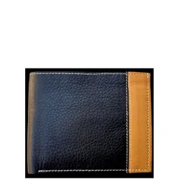 Ultimo Men Colourblocked Leather Two Fold Wallet-18