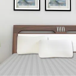 Home Centre Set Of 2 White Solid Sleep Pillow-49