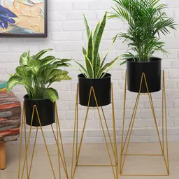 Homesake Set Of 3 Planters With Black Pot-12