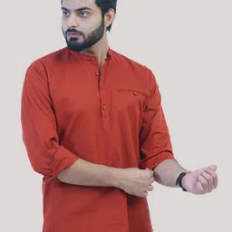 BLUEBIRD Cotton Mandarin Collar Thread Work Straight Kurta-57