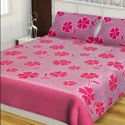 Supreme Home Collective Pink 144 TC Queen Bedsheet with 2 Pillow Covers-image-79