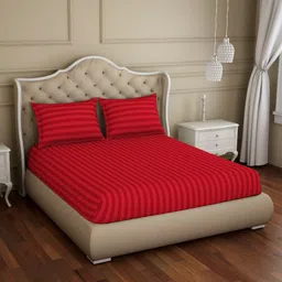 SPACES Skyrise Red Striped Pure Cotton 210 TC Fitted Queen Bedsheet with 2 Pillow Covers-36