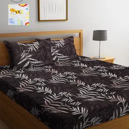 Arrabi Brown & Off White Floral 300 TC 2 King Bedsheet with 4 Pillow Covers-image-69
