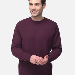 Woods Men Purple Pullover-picture-49