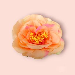 Hair Flare Women Peach-Coloured & Green Embellished Alligator Hair Clip-0