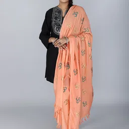 Exotic India Women Ethnic Motifs Embroidered Shawl-28