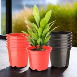 Kuber Industries Set Of 12 Red & Black Planter With Pot-28