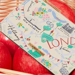 Accessorize London Women London Print Card Holder-25