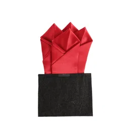 Alvaro Castagnino Men Red Solid Pocket Squares-picture-17