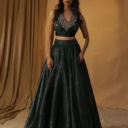 ARPITA SULAKSHANA Embellished Beads & Stones Made to Measure Lehenga & Blouse With Dupatta-15