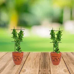 Garden Deco 2 Pieces Green Plant Supporters / Trellis-28