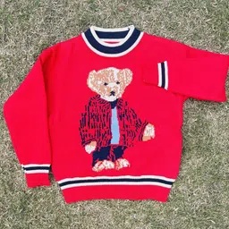 BAESD Boys Pullover Sweater-image-23