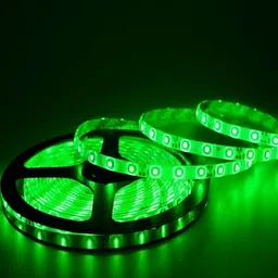 ENORMITY Green & White Rice Shape Bulb String Lights-0