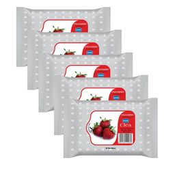 Ginni Set of 5 Strawberry Cleansing & Makeup Remover Wet Wipes - 30 Wipes Per Pack-51