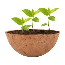 Garden Deco 12 Pcs Wooden Eco-Friendly Planters-11