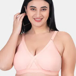 KOMLI Plus Size Non Padded Cotton T-shirt Bra K-D986-PCH-1PC_JA0324-42