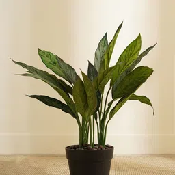 Pure Home and Living Green Potted Dracaena Artificial Flowers and Plants-image-23