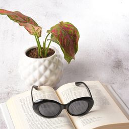 HAUTE SAUCE by Campus Sutra Women Black Lens & Black Oval Sunglasses with UV Protected Lens-8
