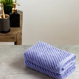 Nautica Set Of 2 Purple Striped Pure Cotton 600 GSM Hand Towels-11