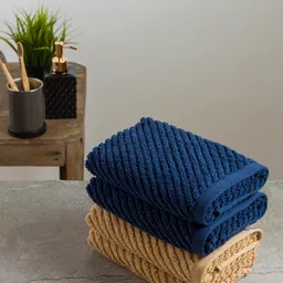 Nautica Set of 4 Beige & Navy Blue Pure Cotton 600 GSM Hand Towels-13