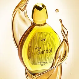 CFS Women Set of Wild Sandal Eau De Parfum 100ml & Cargo Deodorant Body Spray 200ml-43
