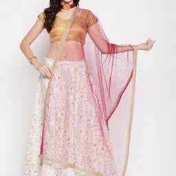 Clora Creation Net Dupatta with Sequinned-30