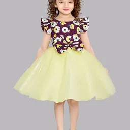 Pink Chick Printed Flutter Sleeve Fit & Flare Net Dress-image-60