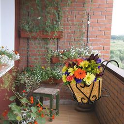 Garden Deco Black 5 Pieces Metal  Double Hook Beautiful Wall Pot Planter-57