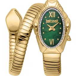 Just Cavalli Women Embellished Dial & Stainless Steel Analogue Watch JC1L357M0035-image-13
