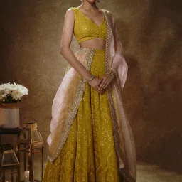 Renee Label Embroidered Sequinned Ready to Wear Lehenga & Blouse With Dupatta-12