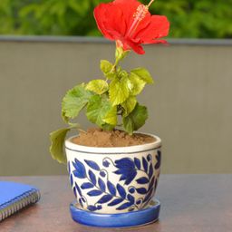 StyleMyWay White & Blue Floral Planter Pot With Tray-22
