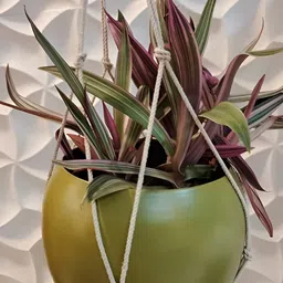 CraftVatika Green Hanging Planter With Metal Holder-23