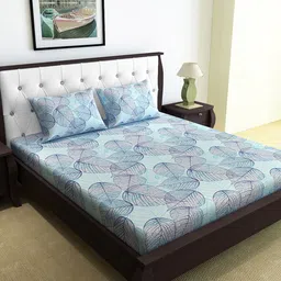 Divine Casa Blue & White Floral 120 TC 1 Queen Bedsheet with 2 Pillow Covers-image-41