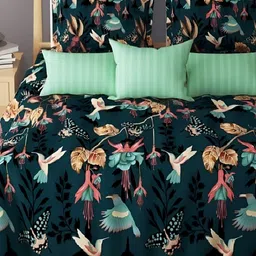 Laying Style Green & Blue Floral Print 210 TC Queen Bedsheet Set-15