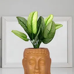 LASAKI Orange Textured Ceramic Planter With Holder-picture-6