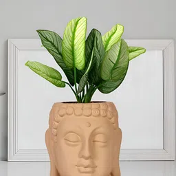 LASAKI Bronze Buddha Textured Ceramic Planter-image-73