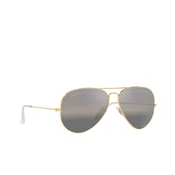 Ray-Ban Oversized Sunglasses with Polarised Lens 8056597662512-31