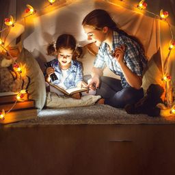 XERGY Off White 16 LED Honey Bee String Fairy String Lights-4