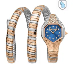 Just Cavalli Women Embellished Dial & Stainless Steel Around Straps Watch JC1L193M0065-image-96
