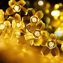 ENORMITY 16 Pcs White Rice Shape LED String Lights-77