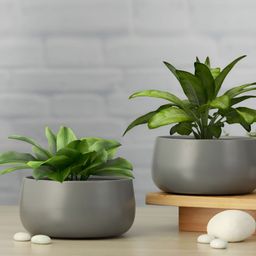 Homspurts Grey Eco Friendly Petite Mini Metal Oasis Planter-15